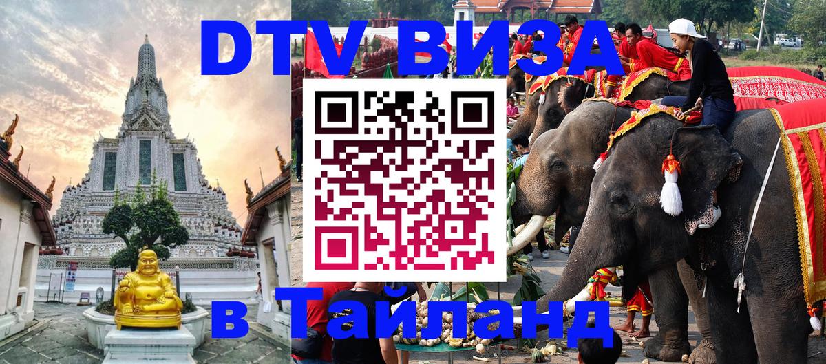 Сколько стоит DTV виза — актуальные цены, оформление даже без документов - 